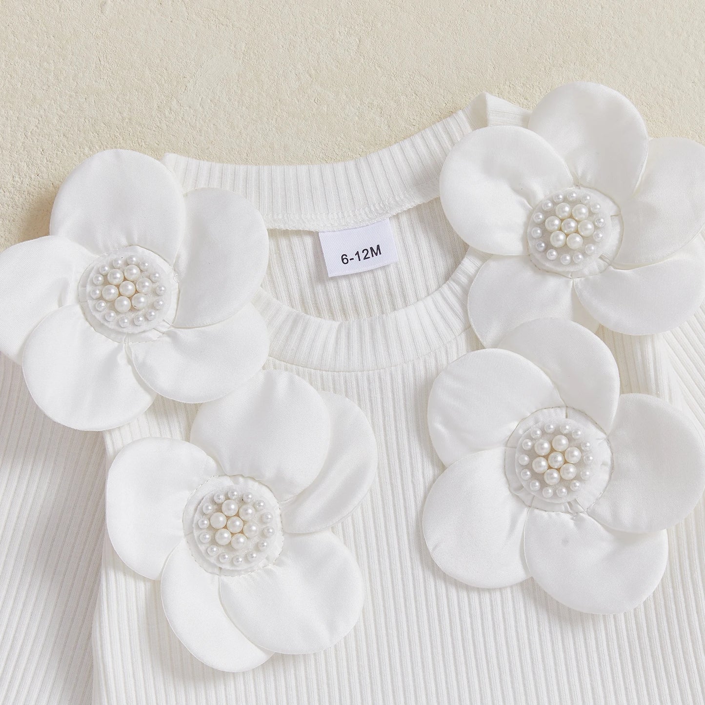 Baby Girls Autumn Long Sleeve 3D Floral Decor Skirt and Beret Set, 6 Months to 4 Years